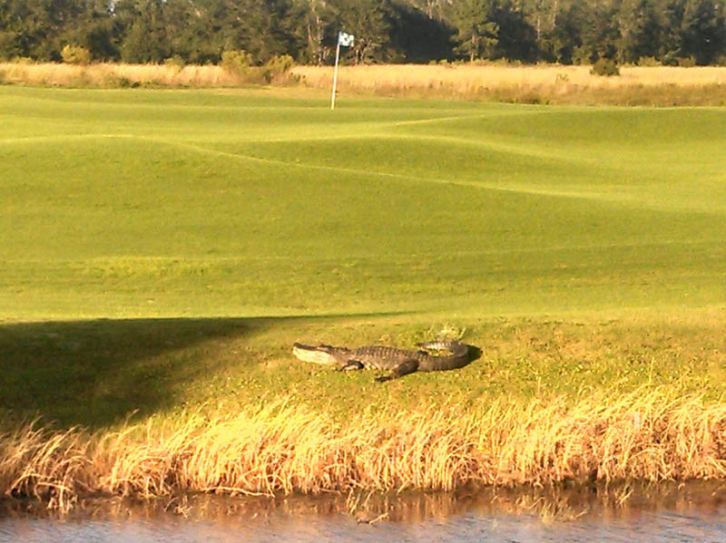 Course Photo Gallery Providence Golf Club