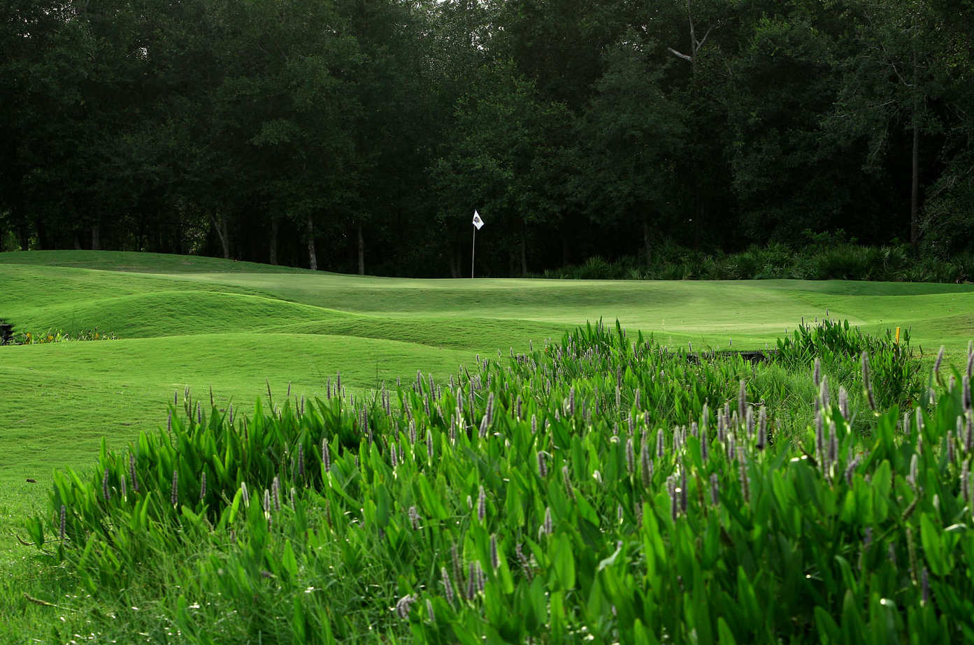 Image of golf ball on tee on grass.